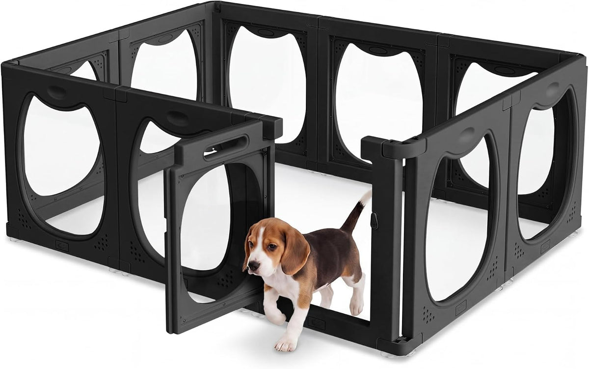 Clear transparent modular dog playpen with black frame panels