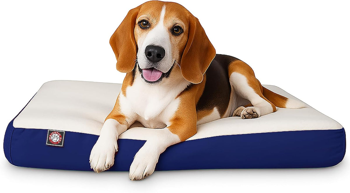 Black rectangle orthopedic memory foam crate dog bed, 48 by 34 inches – view 10