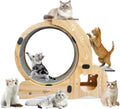 Large silent cat exercise wheel treadmill