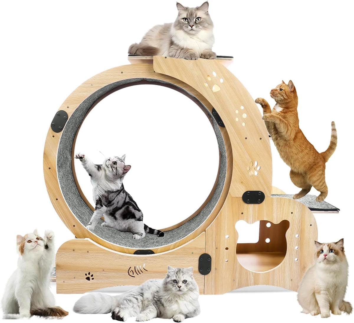Large silent cat exercise wheel treadmill