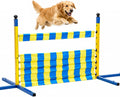 Metal dog agility jump hurdle set up on grass