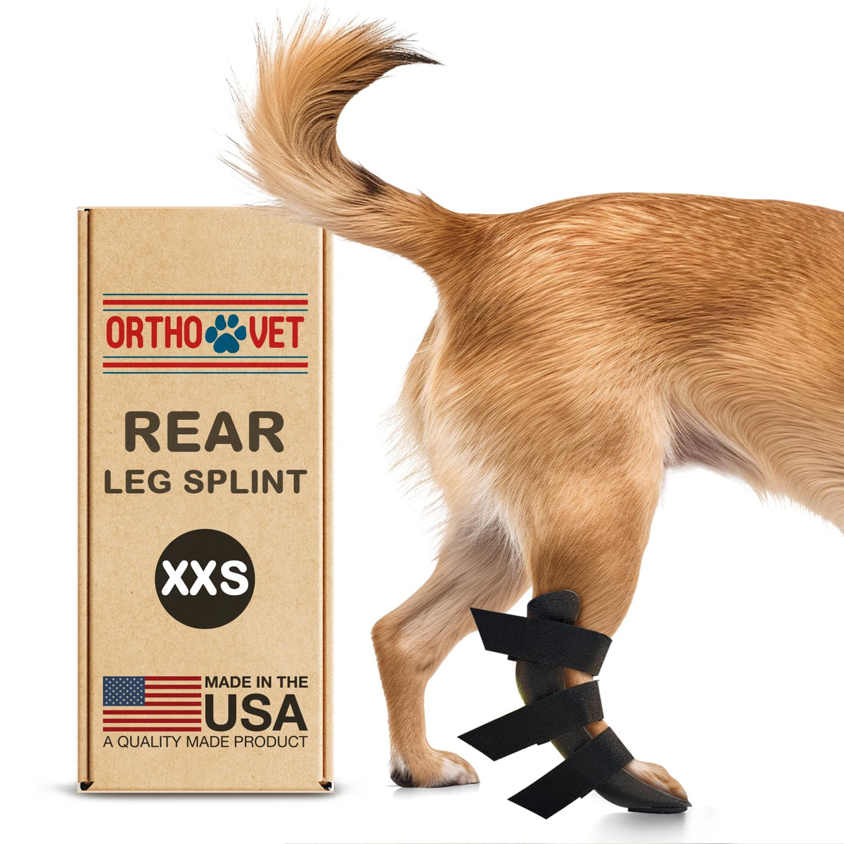 Lightweight rear leg splint fitted on a dog's back leg – view 4