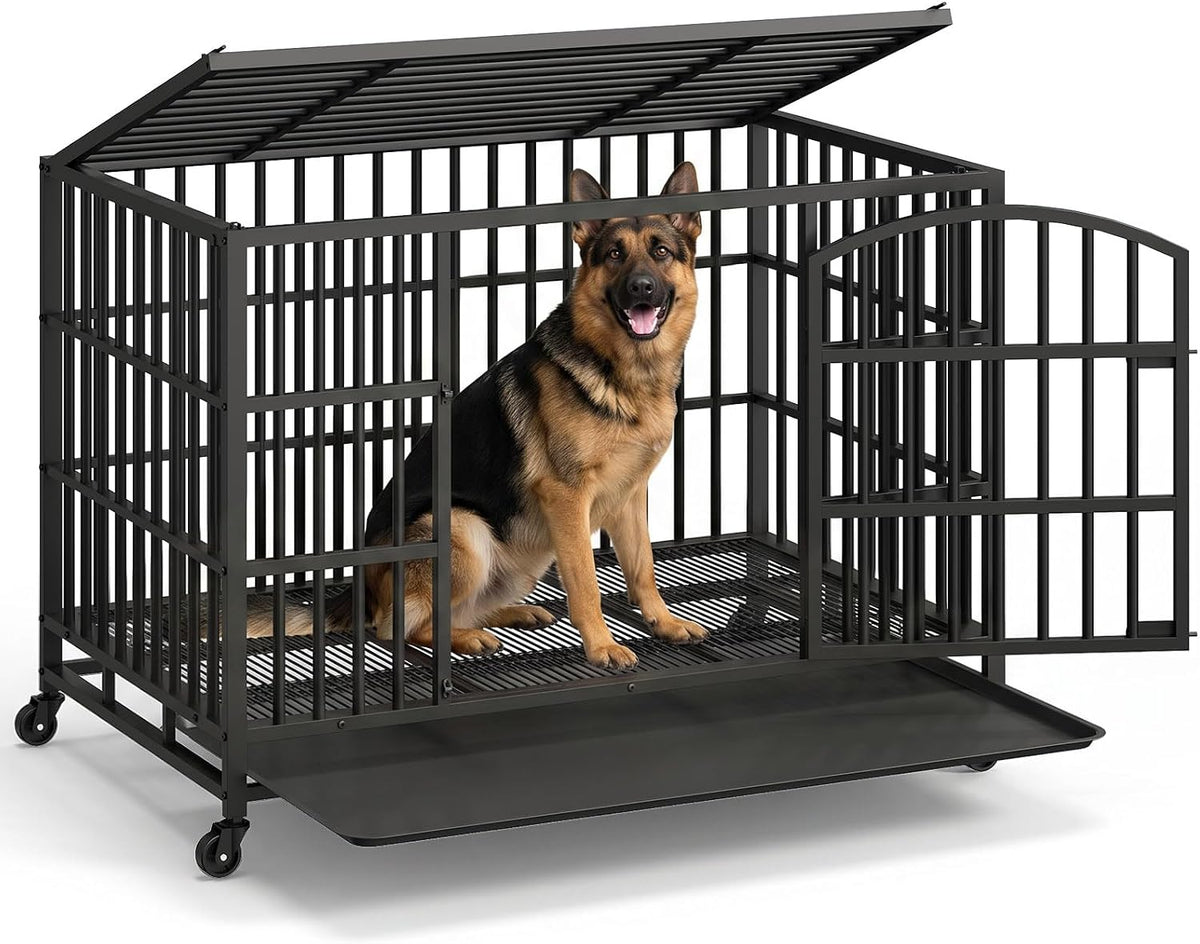 Black heavy duty 48 inch metal dog crate with two doors and casters