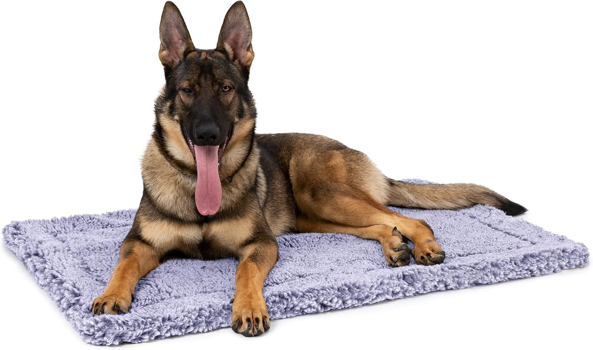 Purple jacaranda fluffy dog crate pad 47 by 29 inches