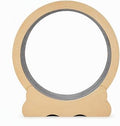 Large Cat Exercise Running Wheel for Indoor Cats, Detachable