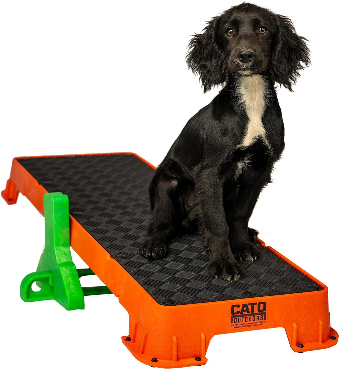 Teal XL dog training platform board resting on a tilt stand – view 9