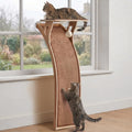 Floor standing cat window perch with curved scratching ramp by a window
