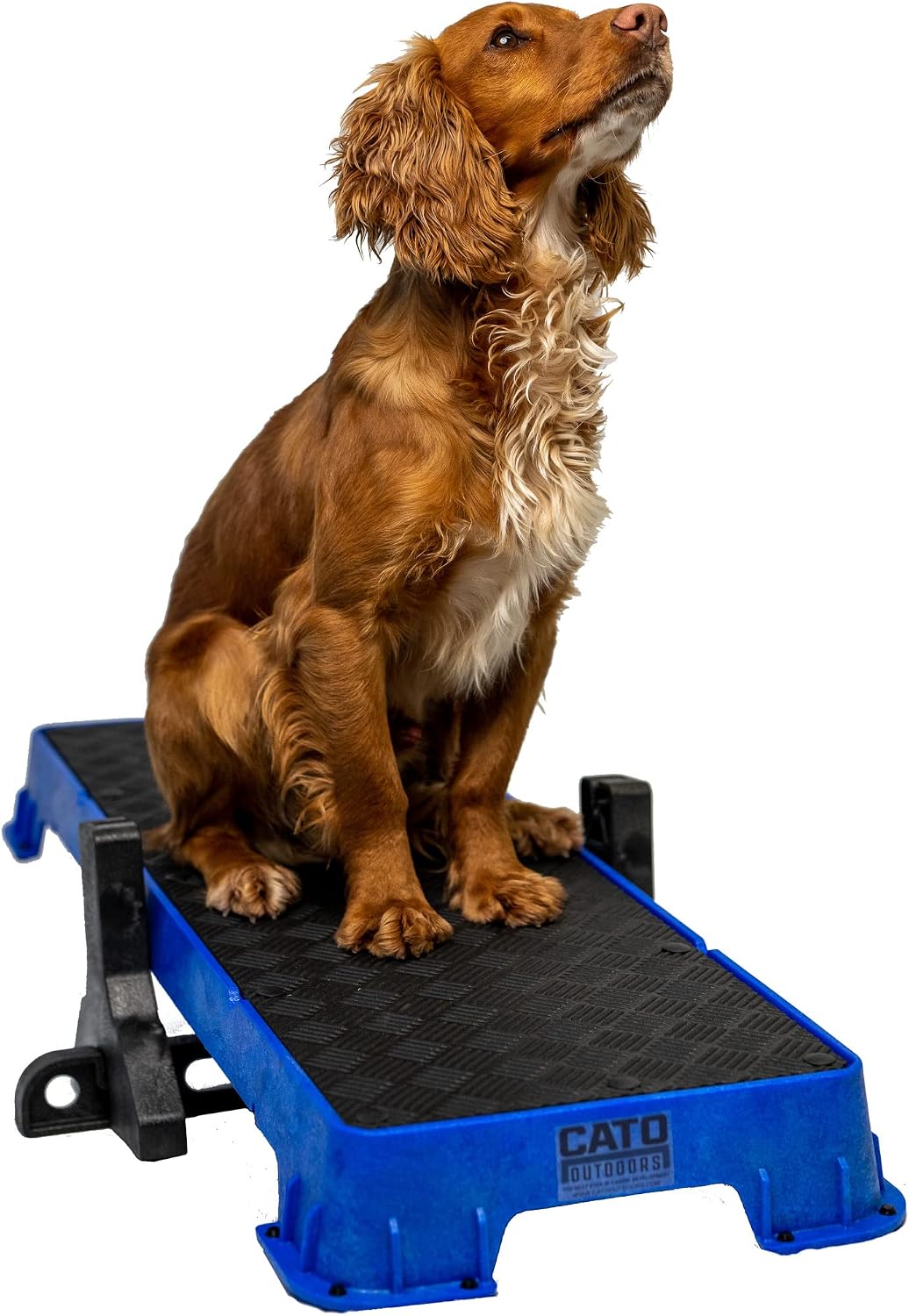 Teal XL dog training platform board resting on a tilt stand – view 6