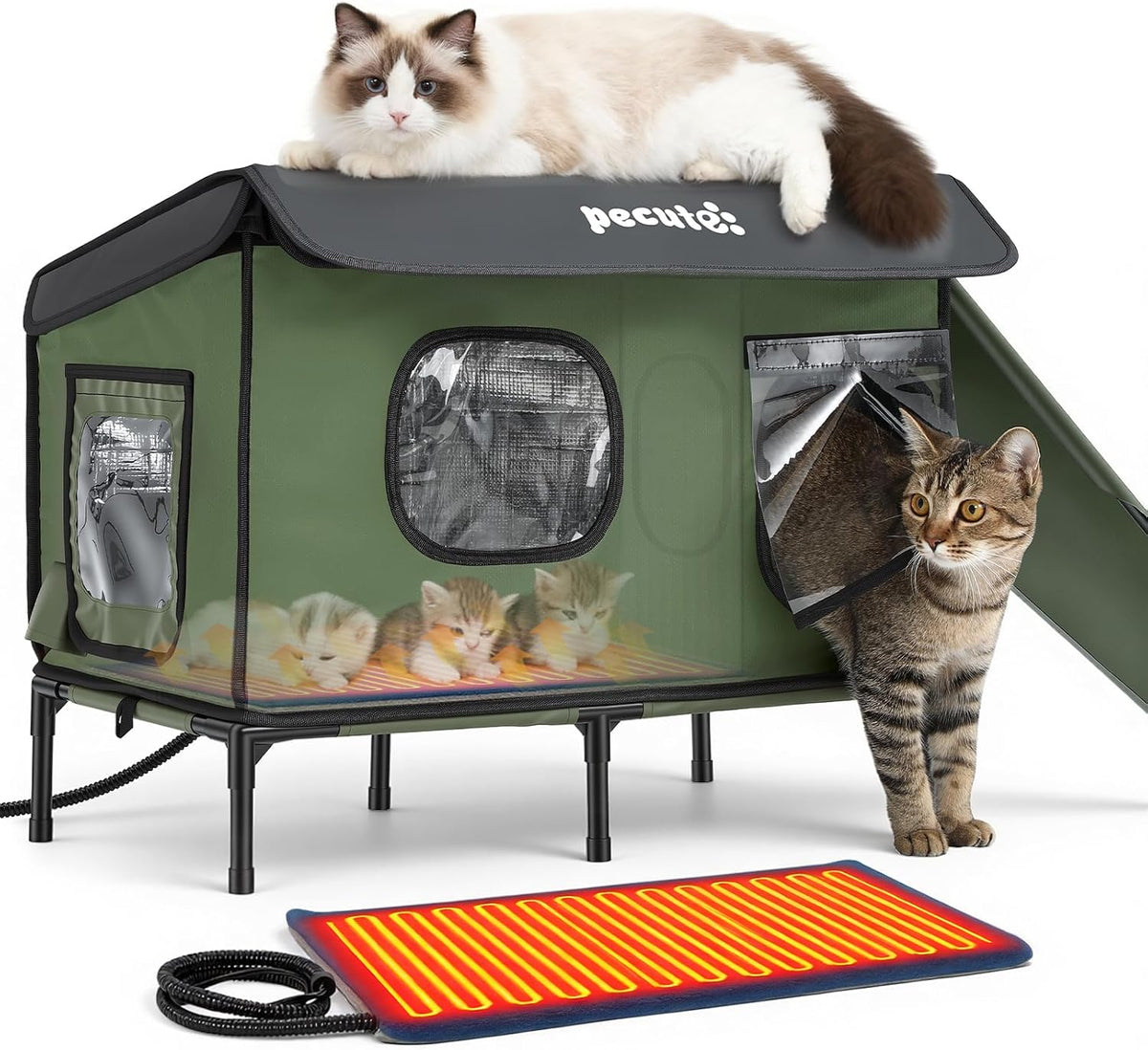Insulated heated outdoor cat house with canopy and two exits