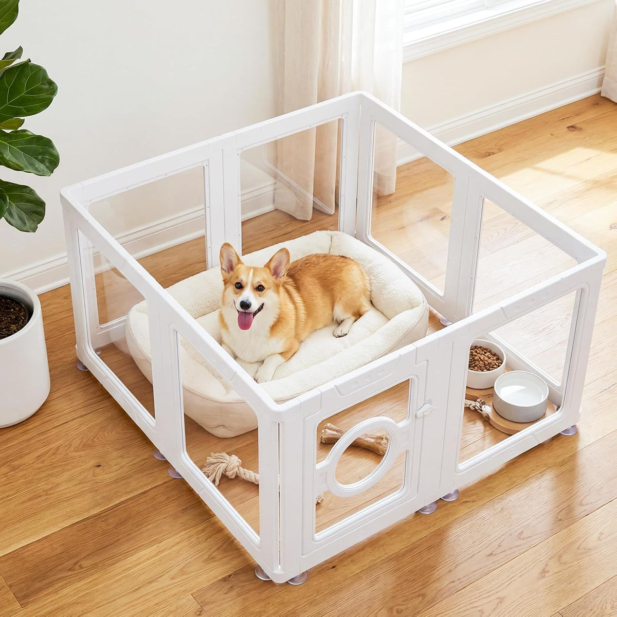White-framed clear acrylic 8-panel pet playpen