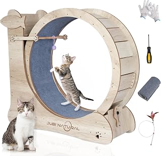 33.9 Inch Cat Wheel for Indoor Cats with Scratcher, Shelf and Teasers