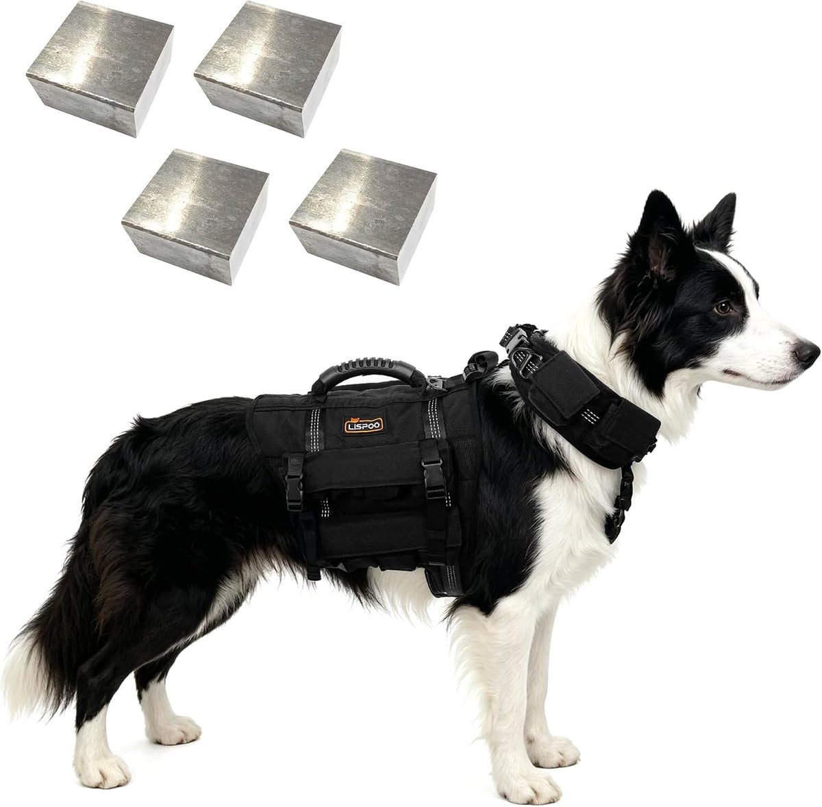 Adjustable weighted dog vest with collar and removable weights