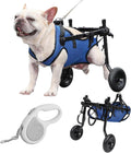 Dog using an adjustable rear-leg wheelchair with mesh harness – view 2