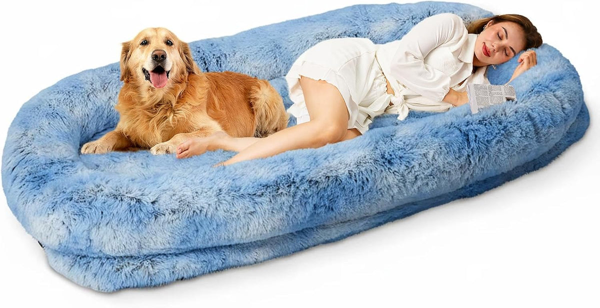 Gradient blue faux fur human-size dog bed, 79 x 44 inches