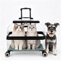 Travel Cat Carrier with Wheels and Mat, Clear Hard Shell, Telescopic Handle, Transparent Black Edge