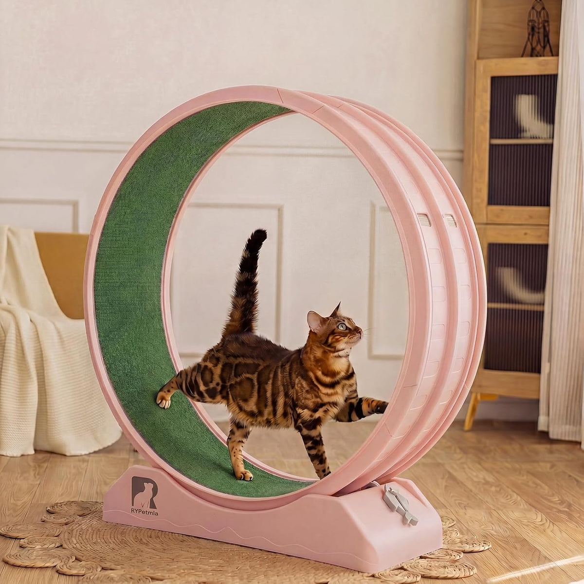 47.2 inch indoor cat exercise wheel with carpeted runway – view 13