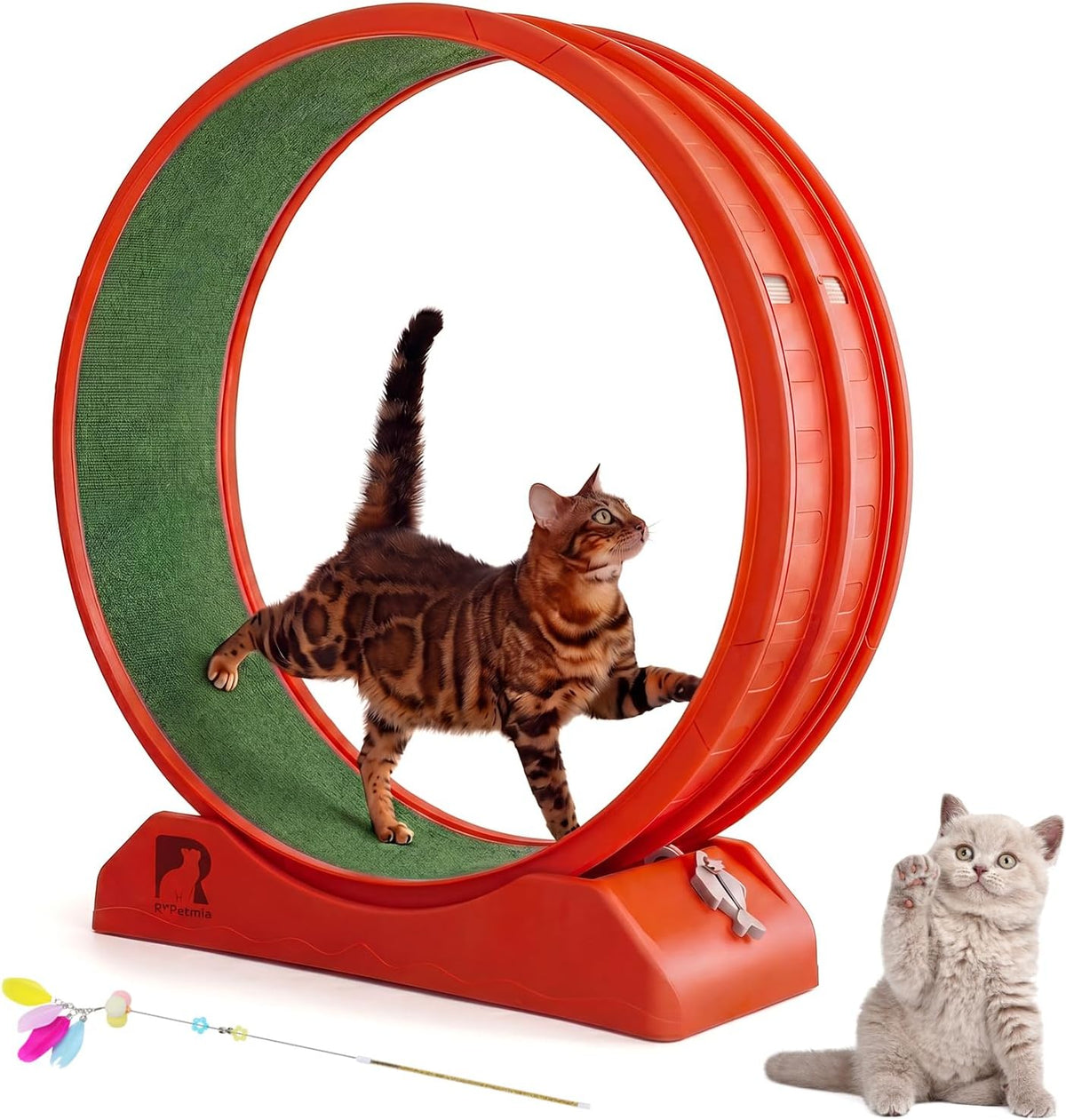 47.2 inch indoor cat exercise wheel with carpeted runway – view 2