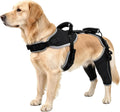Adjustable dog hind leg brace fitted on both back legs