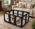 Clear acrylic puppy playpen with black frame and locking door