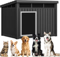 Black large plastic dog house with removable roof and raised floor
