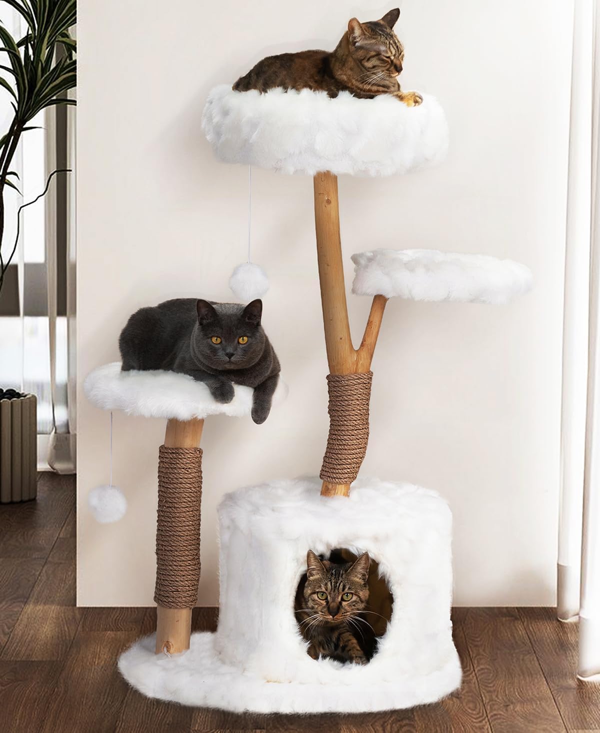 White 42-inch cloud-shaped cat tree with natural wood branches and condo