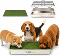 Stainless steel dog potty tray with raised grate and grass mat