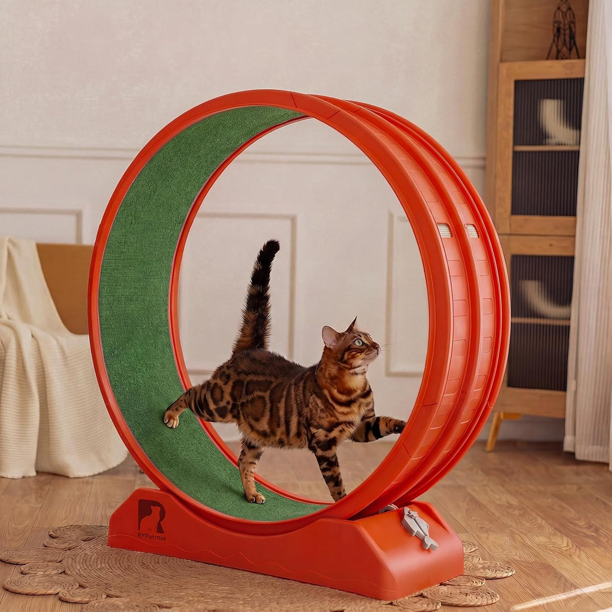 47.2 inch indoor cat exercise wheel with carpeted runway – view 11