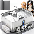 Silver 21 liter stainless steel dog water fountain with window on a feeding mat