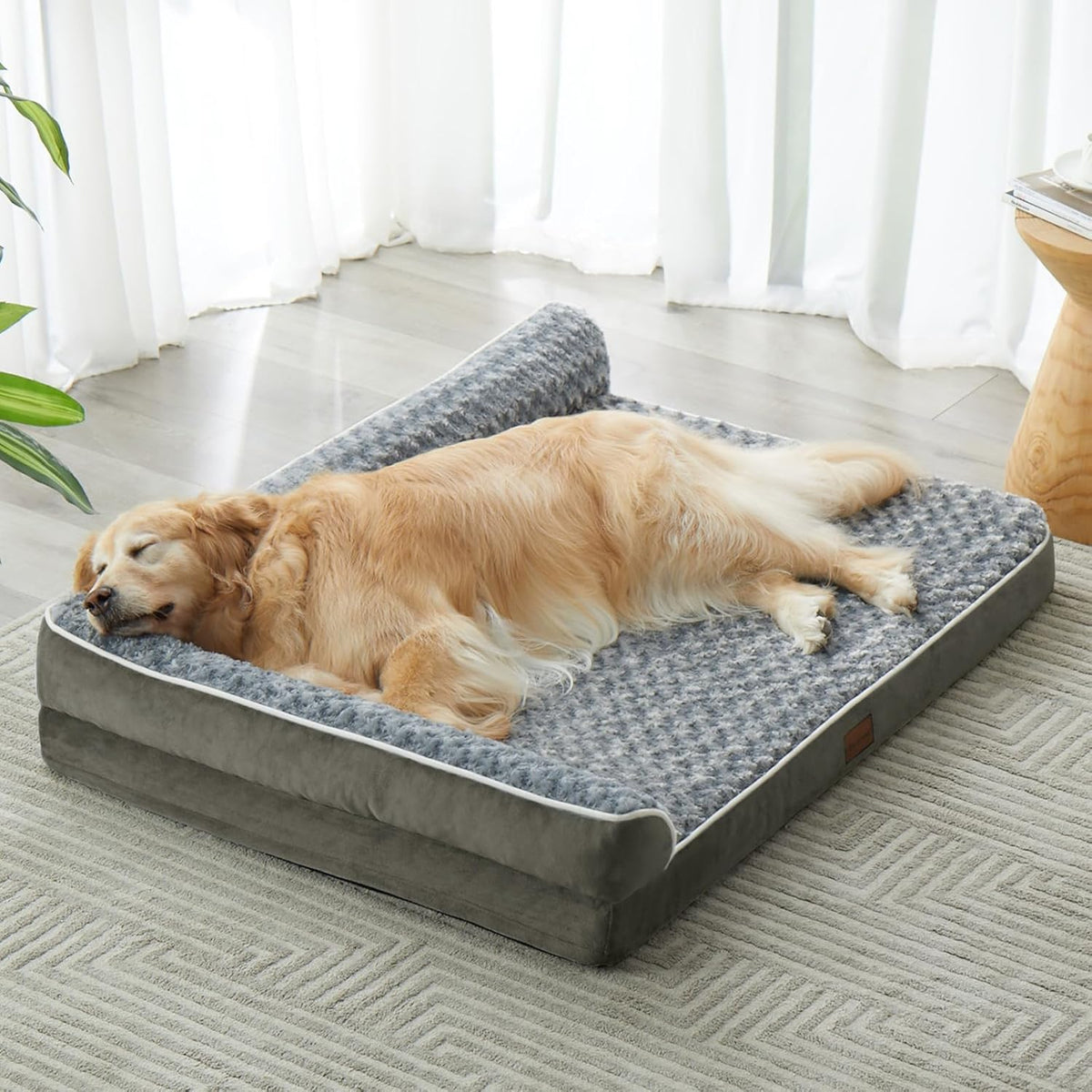 Sofa style orthopedic dog bed with plush velvet cover