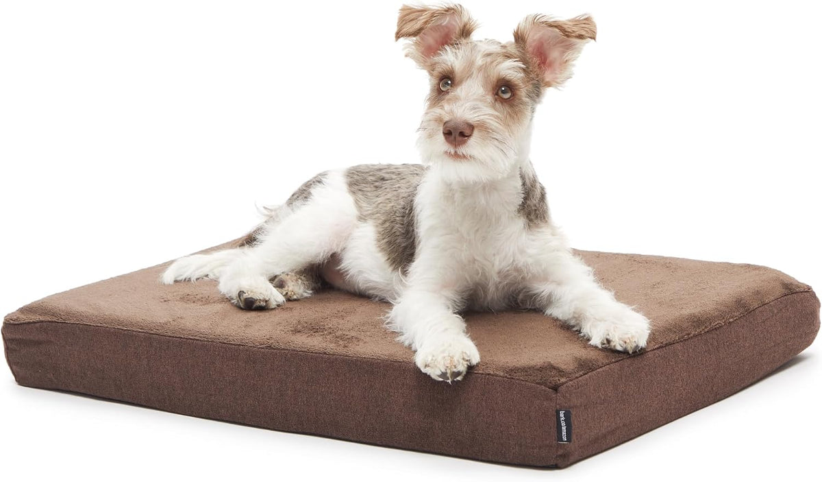 Grey XXL orthopedic memory foam dog bed with removable cover – view 4