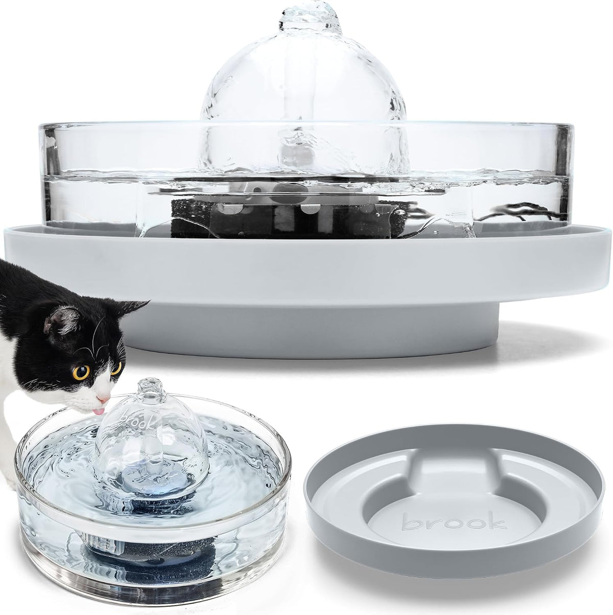All-glass cat water fountain on a light grey raised stand