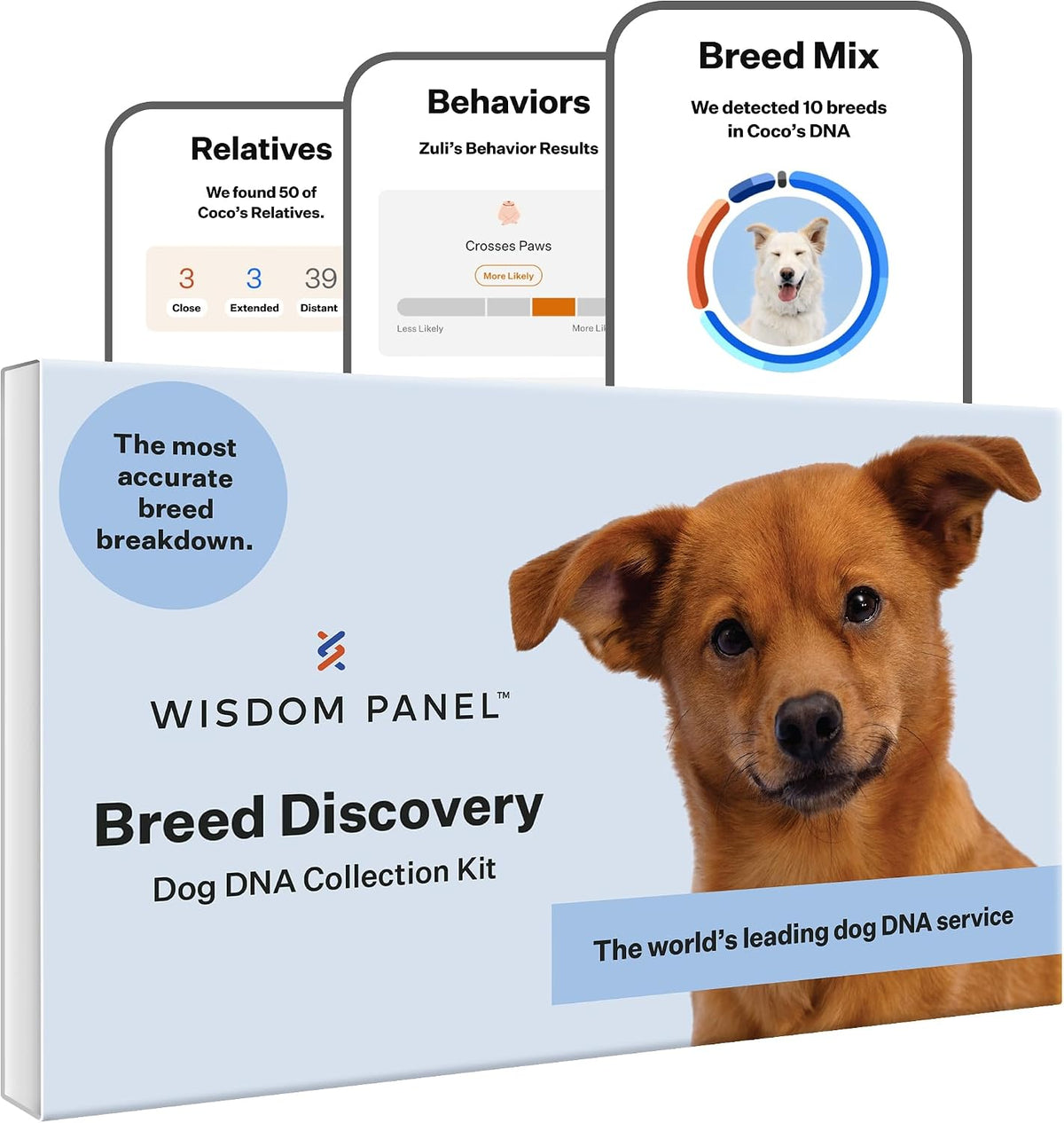 Two dog DNA test kit boxes with cheek swabs – view 2