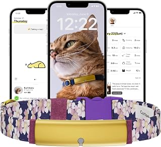 Smart Cat Collar Health Tracker with Safety Breakaway Buckle, Wellness Alerts and Real-Time Monitoring, Kimono Sakura Night