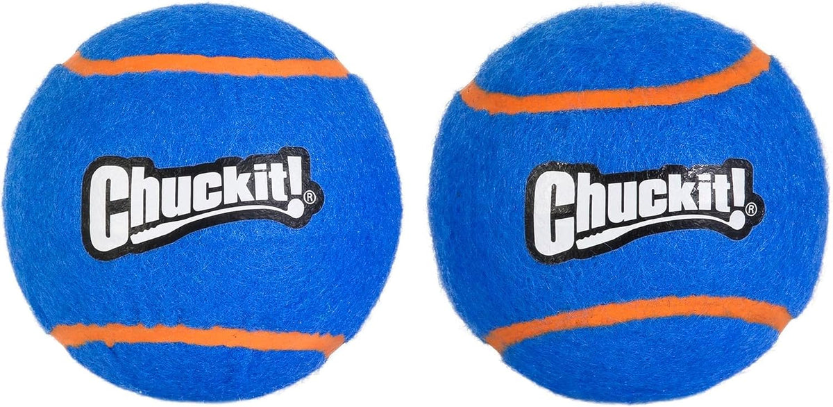 Extra large squeaker tennis balls for big dogs