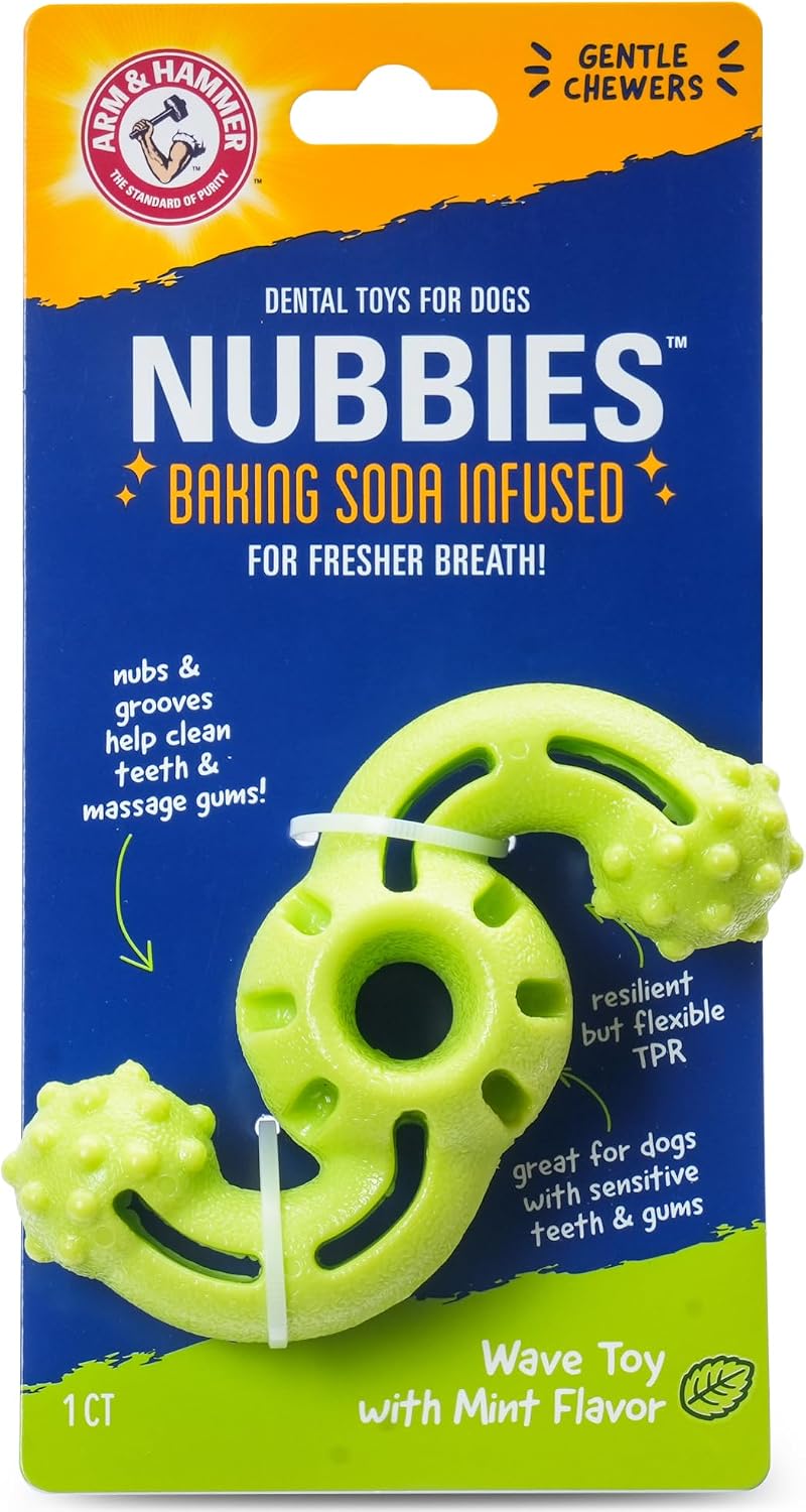 Dinosaur-shaped nylon dental chew toy for dogs with textured nubs, mint flavor – view 20