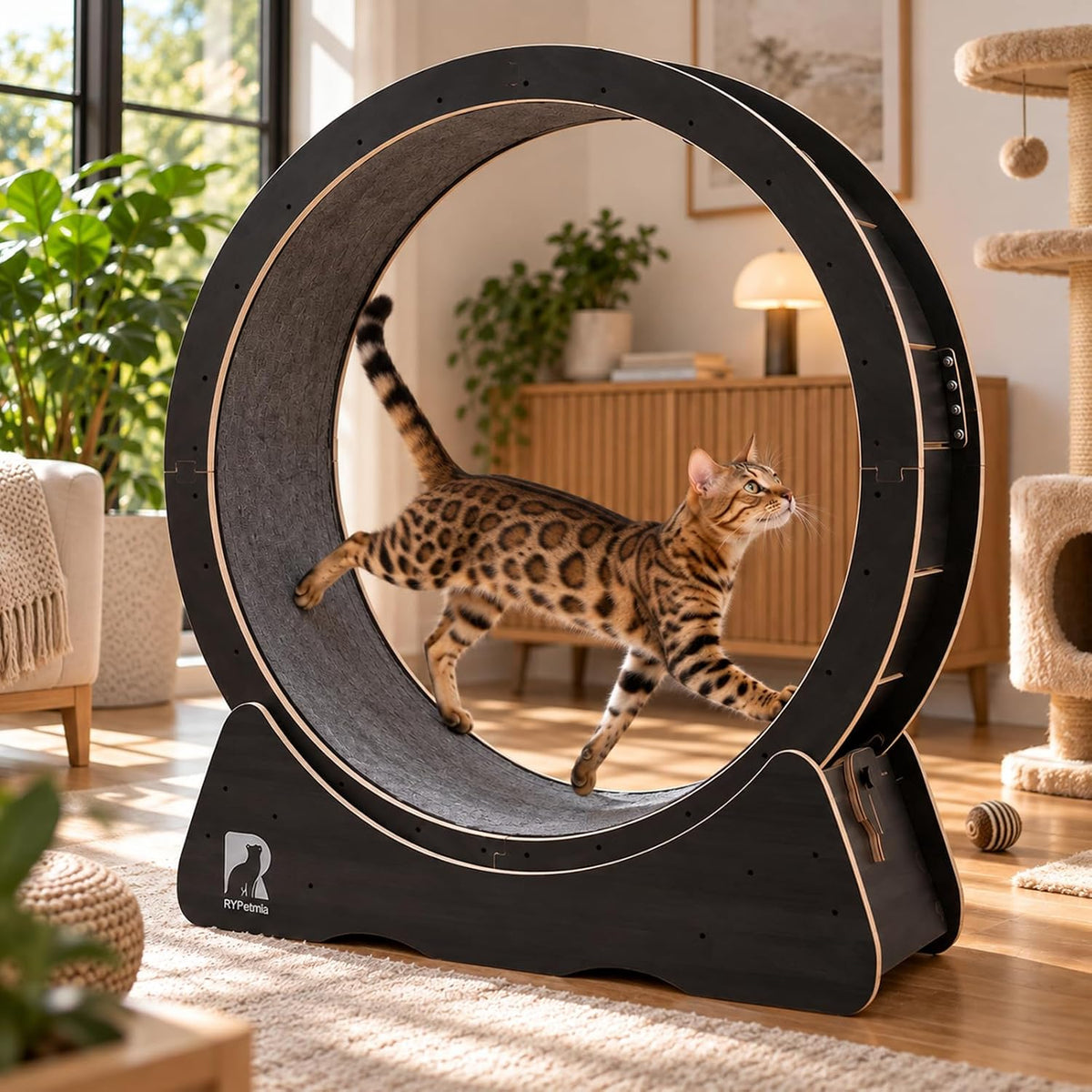 Large 43 inch cat exercise running wheel on a stable base – view 3