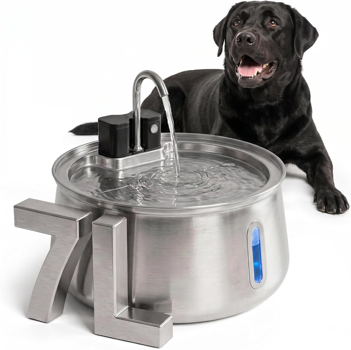Cordless stainless steel 7 liter dog water fountain on a kitchen floor