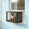 Outdoor Cat Enclosure