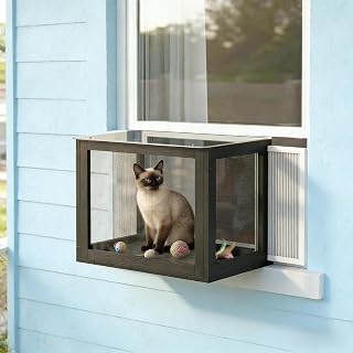 Outdoor Cat Enclosure