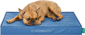 Red grid-fabric mattress dog bed with gusseted sides – view 11