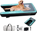 Inflatable dog water ramp floating platform beside a swimming pool
