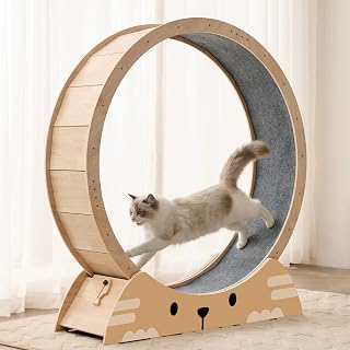 RRPETHOME 48 Inch Cat Exercise Running Wheel for Indoor Cats with Anti-Slip Mat