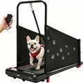 Dog treadmill with side rails, LED display and handheld remote