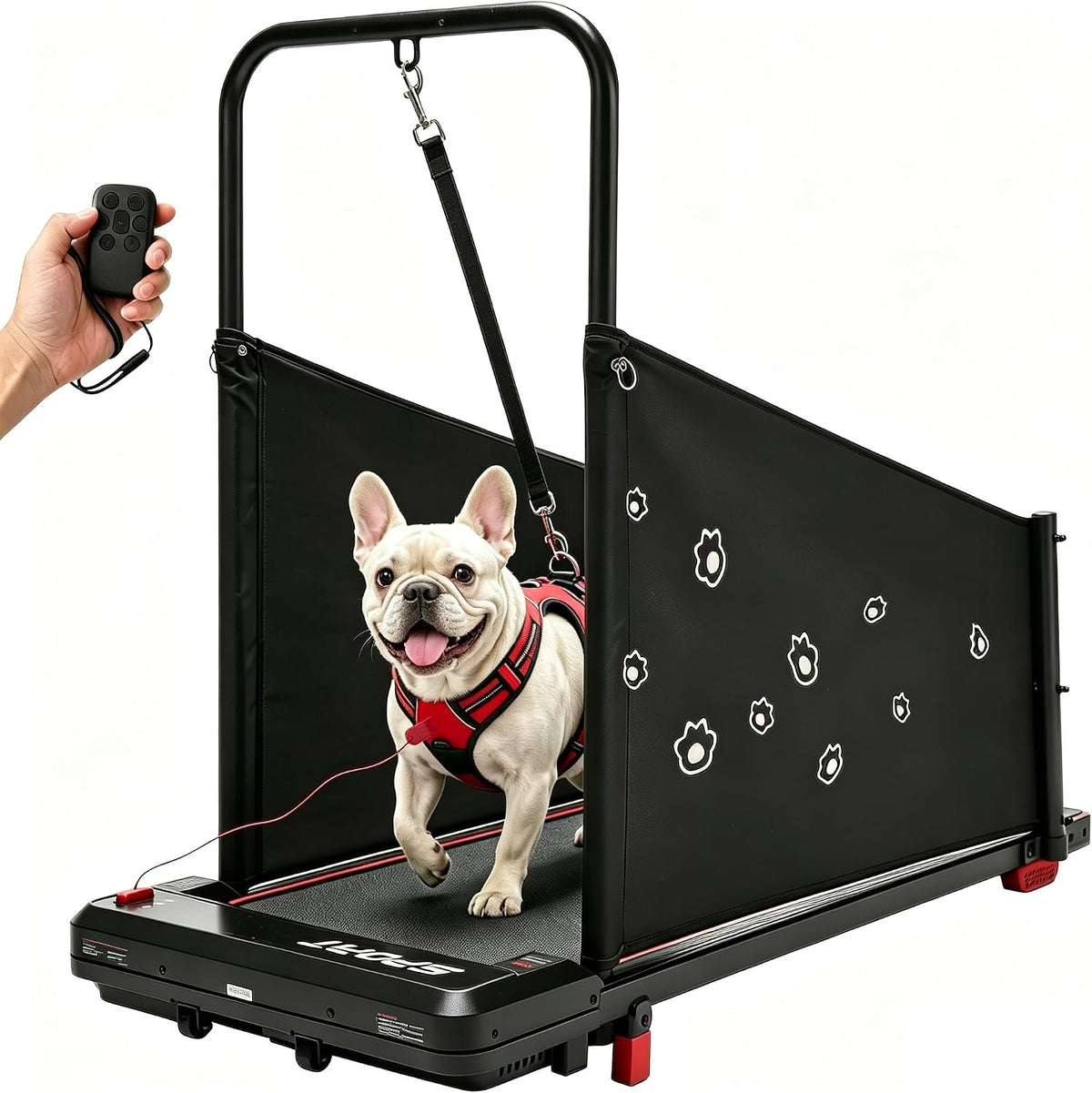 Dog treadmill with side rails, LED display and handheld remote