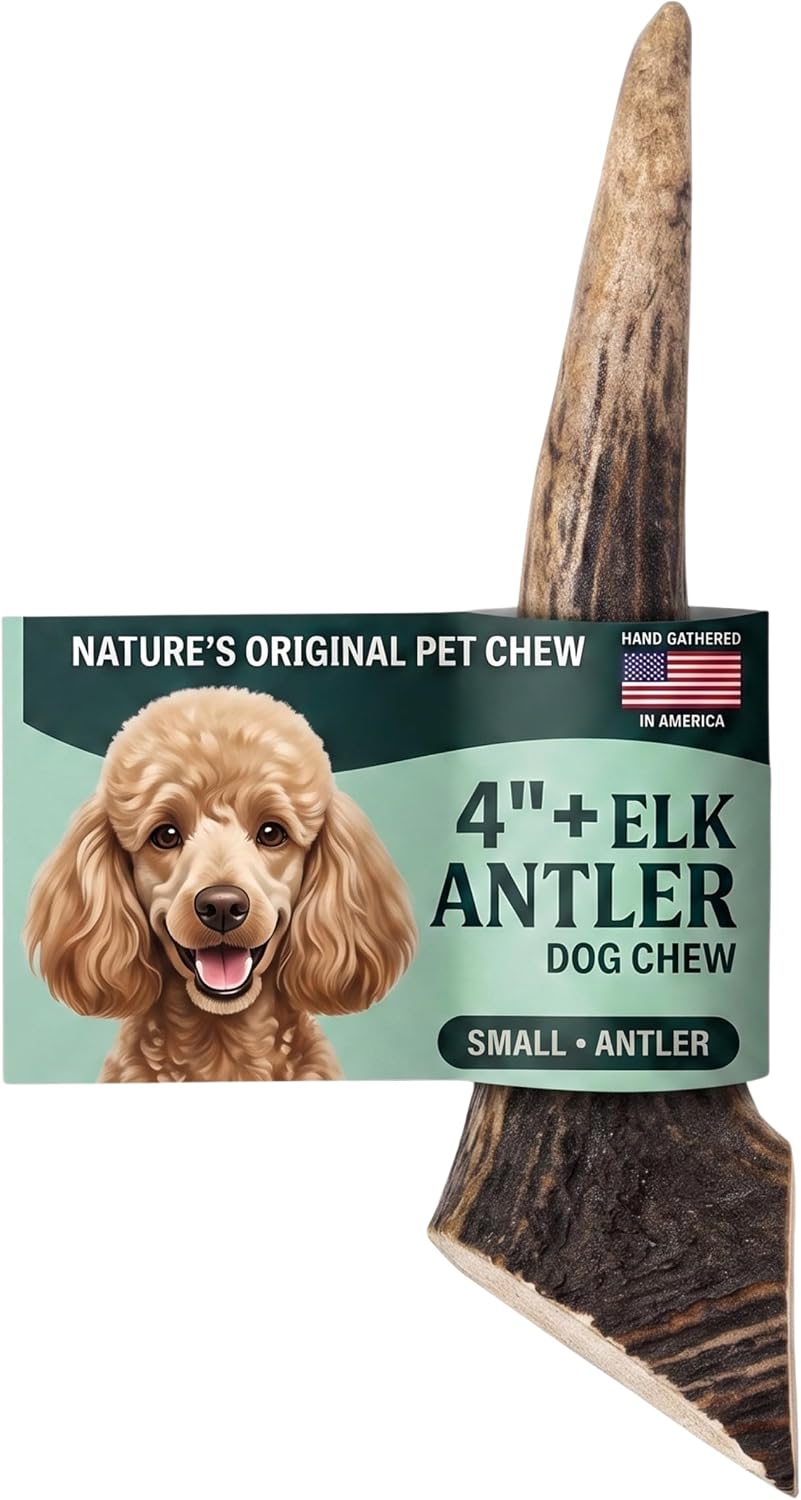 Three whole natural elk antler dog chews on a wooden surface – view 8