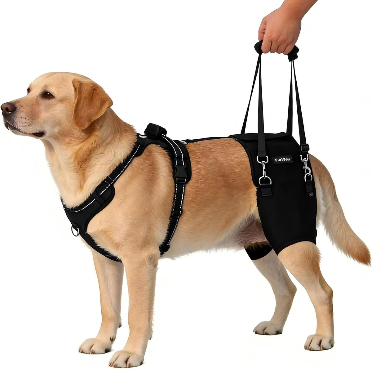 Black adjustable dog hip brace with padded wrap and lifting handle