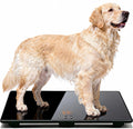 Large tempered glass digital pet scale with backlit LCD display