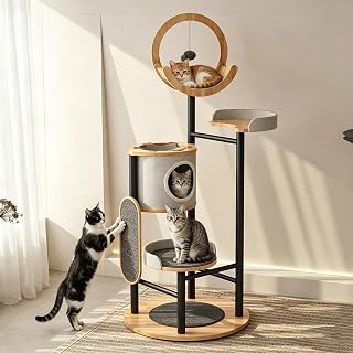 66-Inch Heavy Duty Corner Cat Tree for Multiple Cats