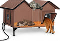 Elevated insulated outdoor cat house with heater and two doors
