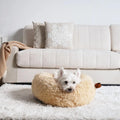 Light gray plush donut bolster dog bed, XX-Large – view 4